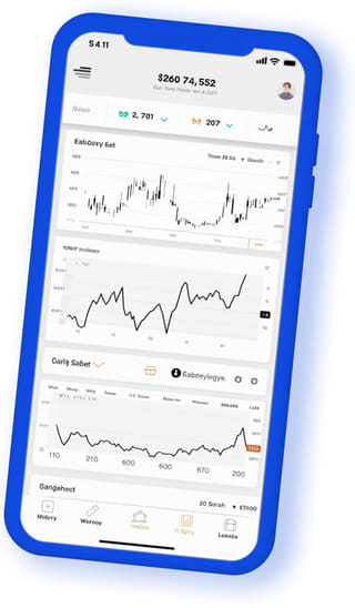 Mobile Ansicht der digitalen Distel Ertragheim Webanwendung